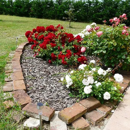 La Garzetta 3* أدريا