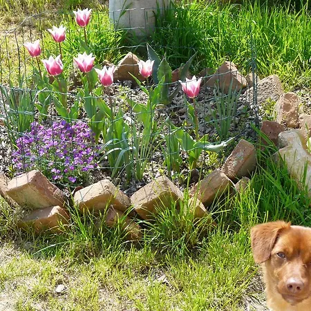 Bed & Breakfast La Garzetta