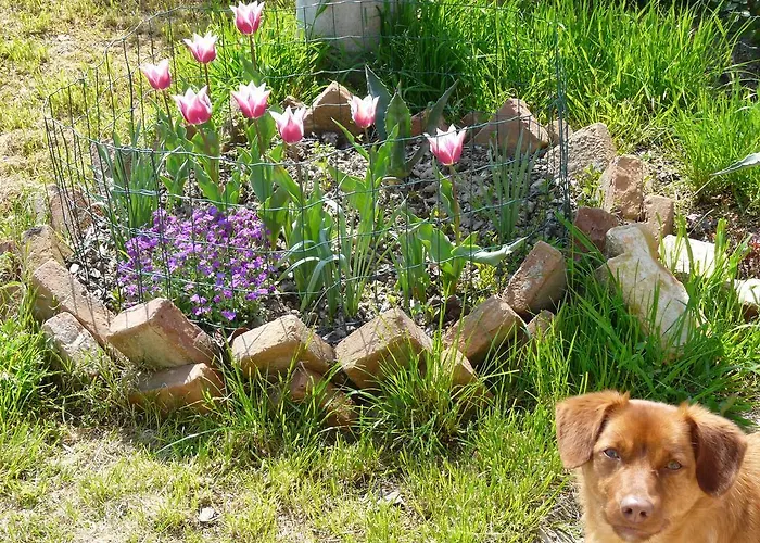 Frühstückspension La Garzetta