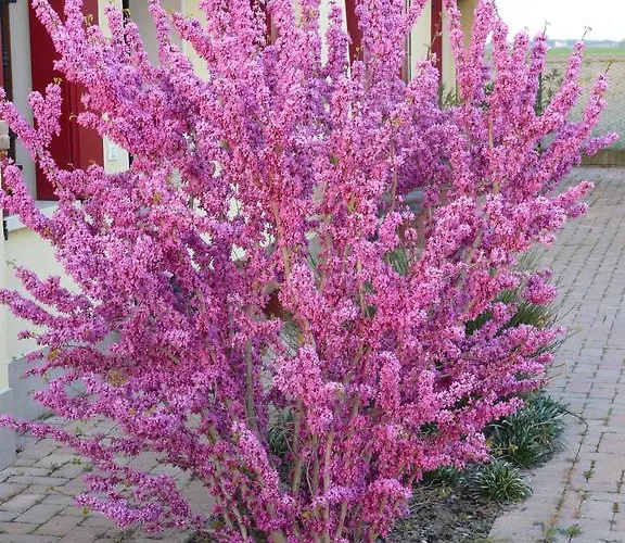 La Garzetta Frühstückspension Adria