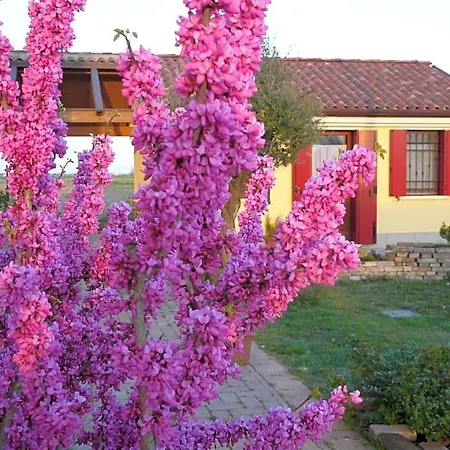 La Garzetta
